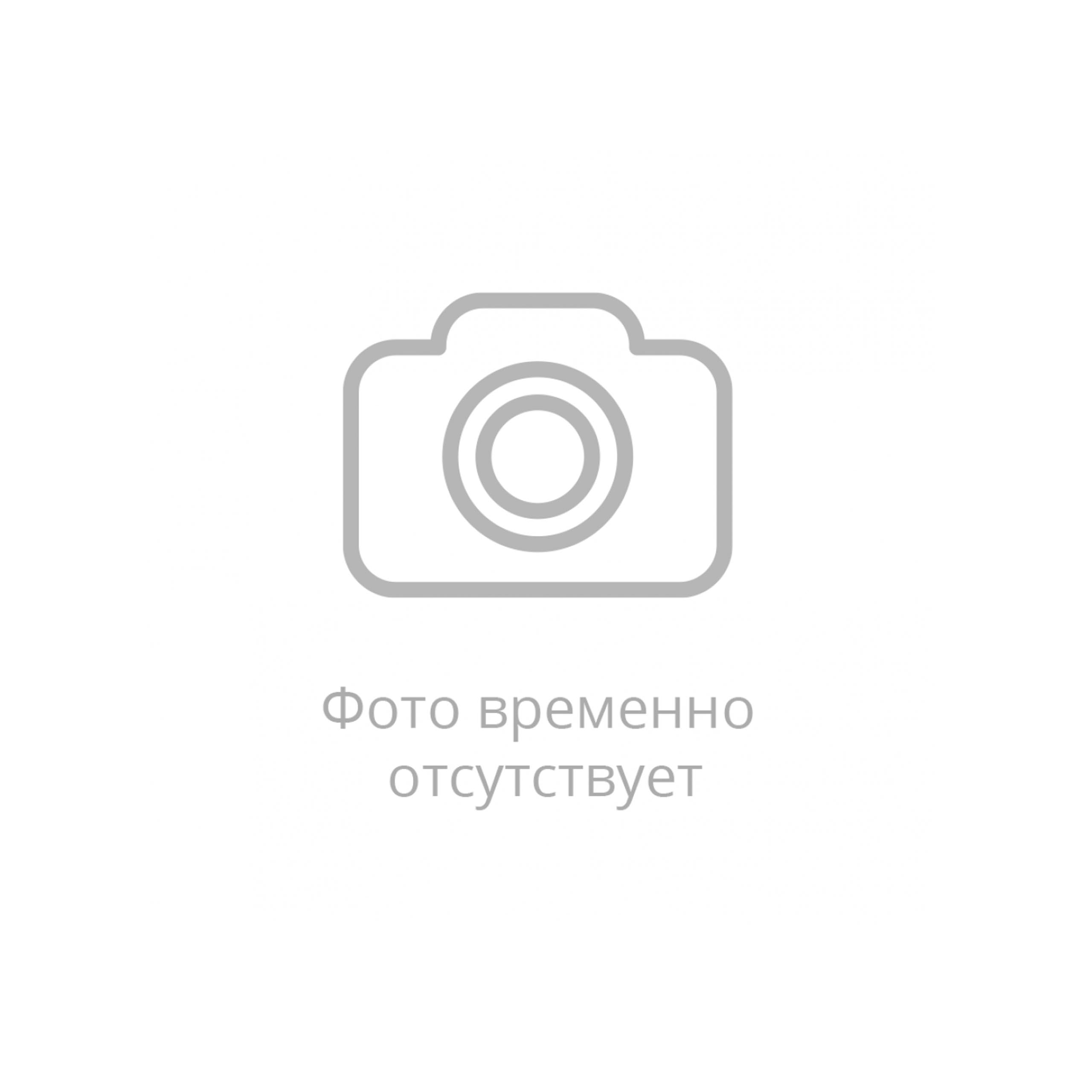 Питбайк MOTOLAND (МОТОЛЕНД) NX125 в Северодвинске
