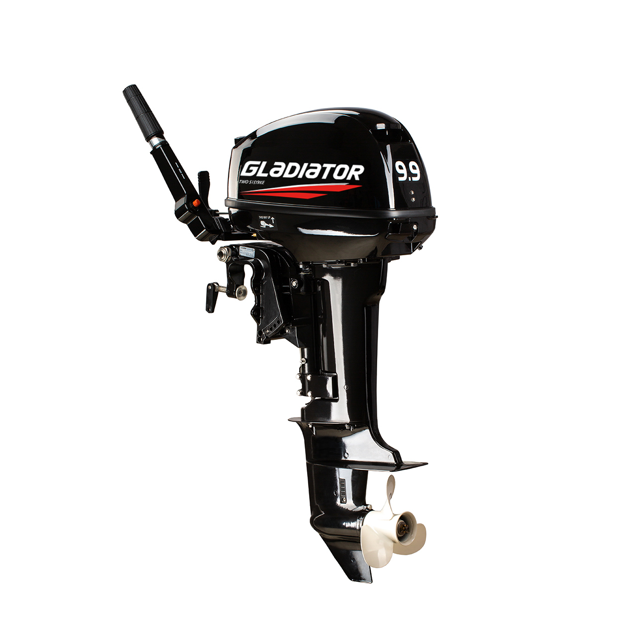 ЛОДОЧНЫЙ МОТОР GLADIATOR G9.9FHS в Северодвинске