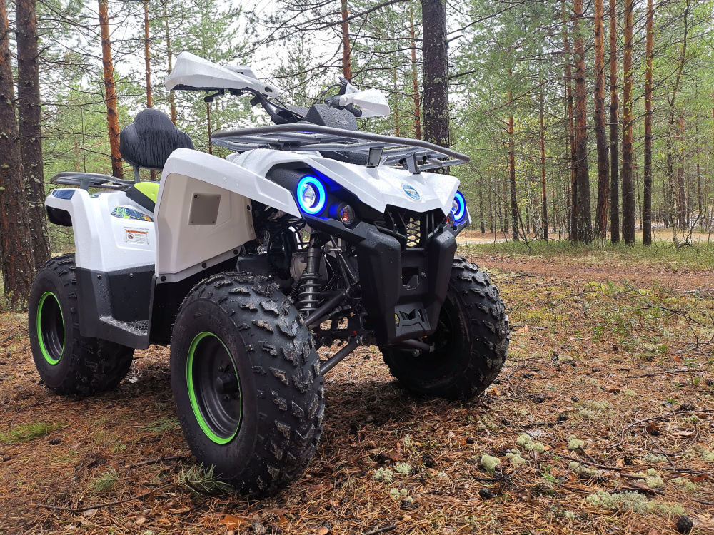 Квадроцикл PROMAX RENEGADE 280 (2025) в Северодвинске
