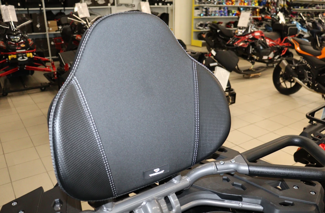 Квадроцикл PROMAX RENEGADE 300 LONG WINCH PRO (2025) в Северодвинске