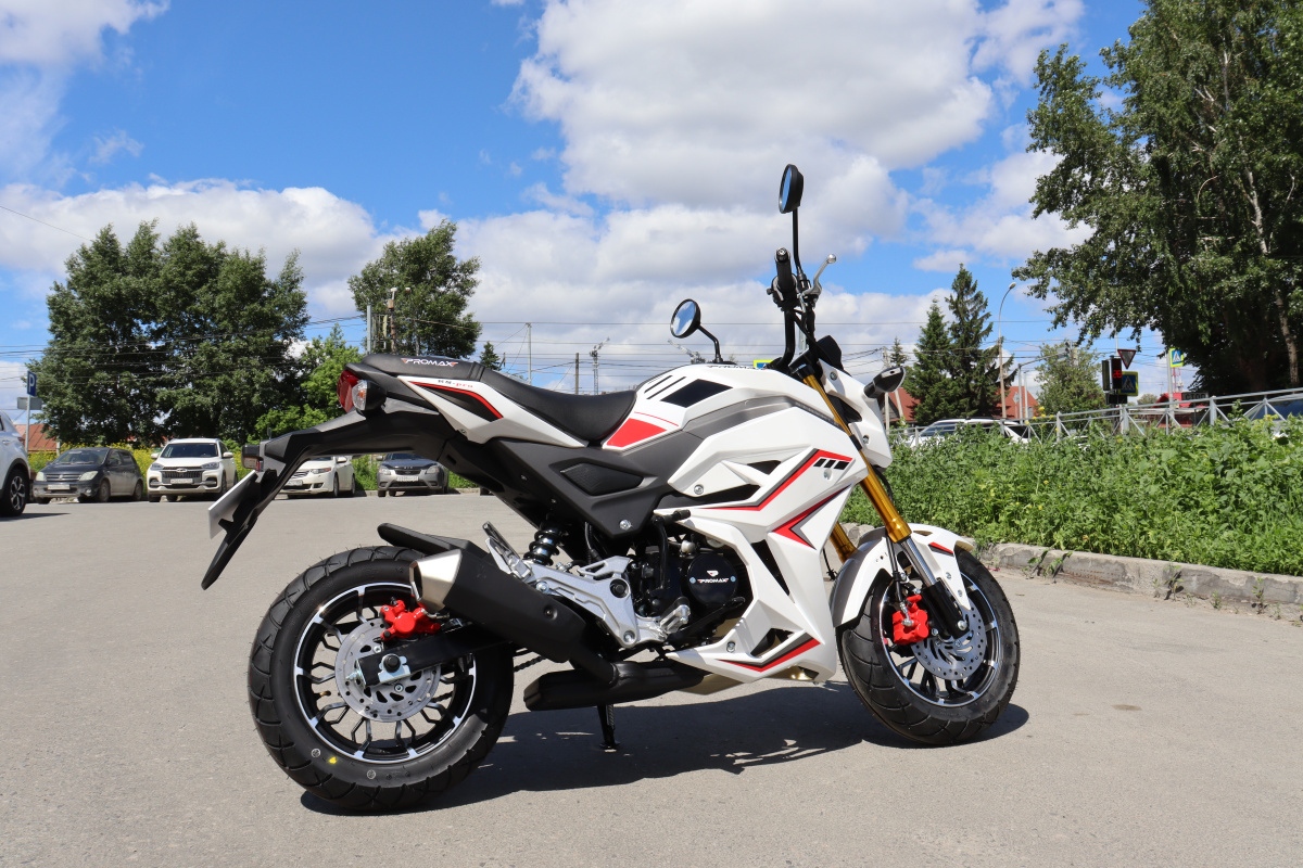 Мотоцикл PROMAX STRYKER 200(49) 2.0 в Северодвинске