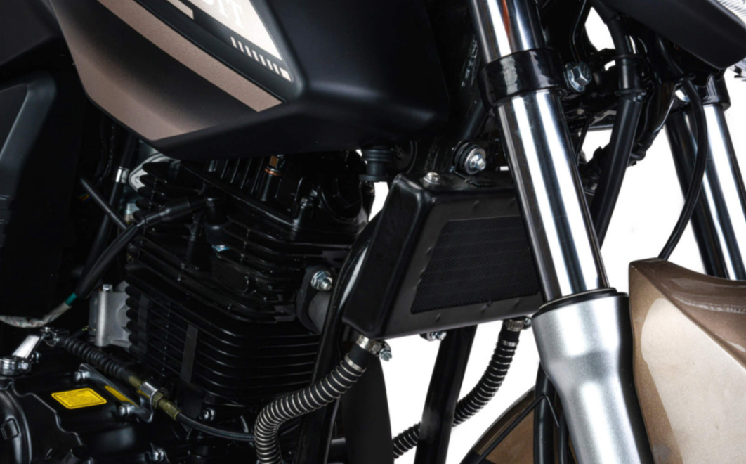 Мотоцикл MOTOLAND (МОТОЛЕНД) 300 BANDIT в Северодвинске