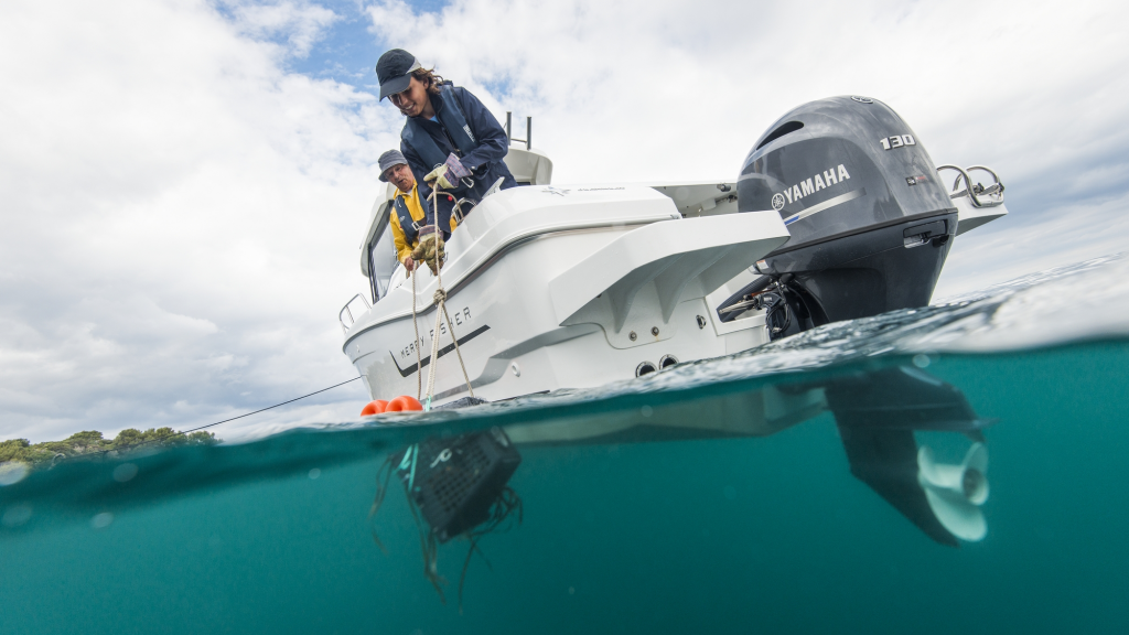 ЛОДОЧНЫЙ МОТОР YAMAHA F130 AETX в Северодвинске