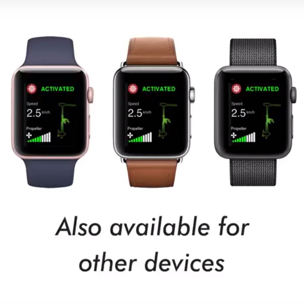 Лодочный электромотор якорь Haswing Cayman B, GPS, 12V, 55Lbs, нога 137 мм в Северодвинске