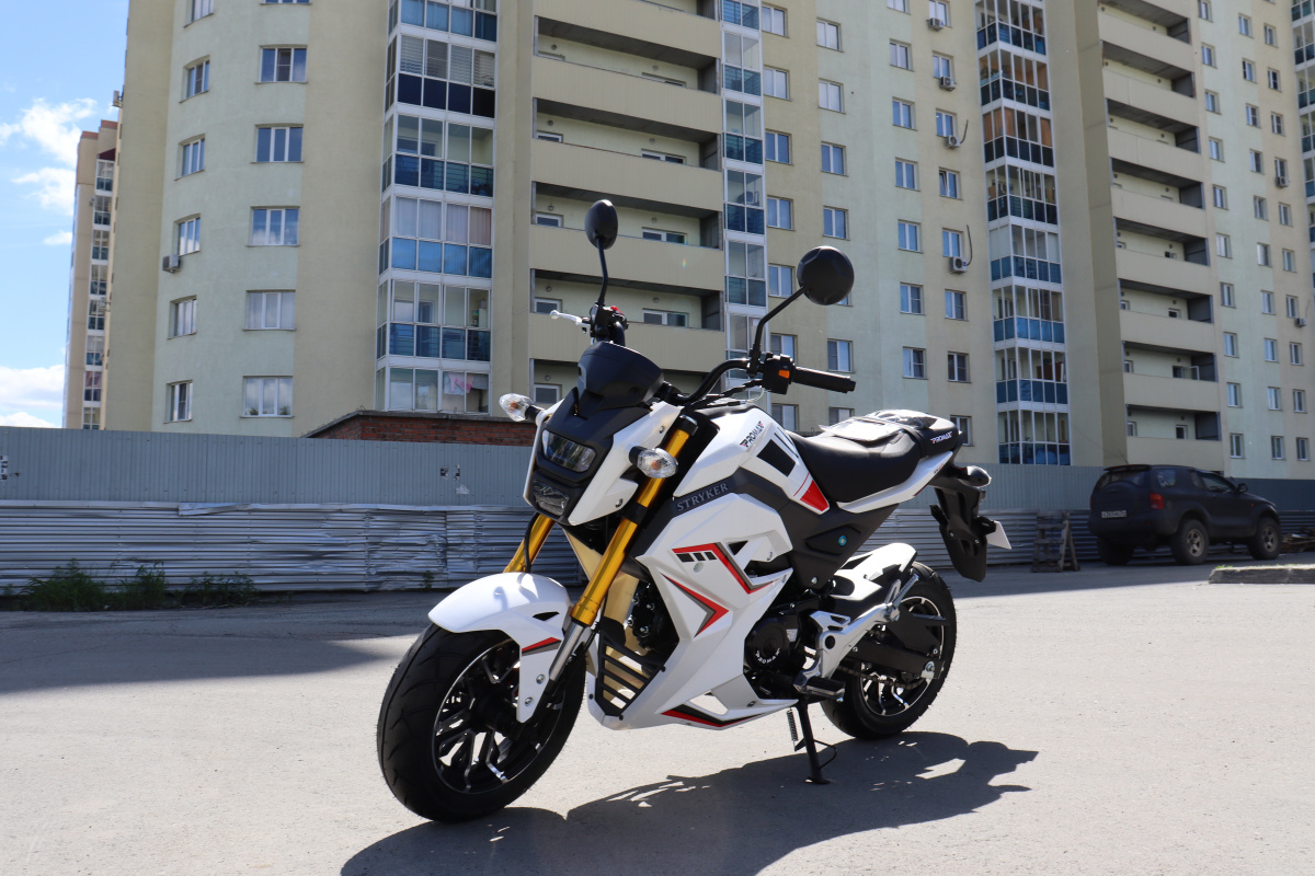Мотоцикл PROMAX STRYKER 200(49) 2.0 в Северодвинске