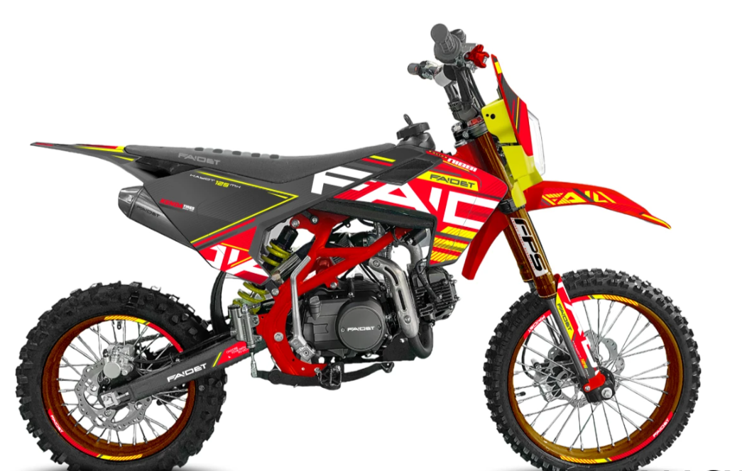 Питбайк FAIDET KAYOT 150E-PRO 19/16 в Северодвинске