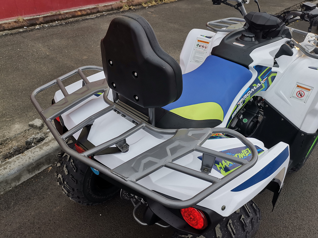 Квадроцикл PROMAX RENEGADE 280 LUX (2025) в Северодвинске