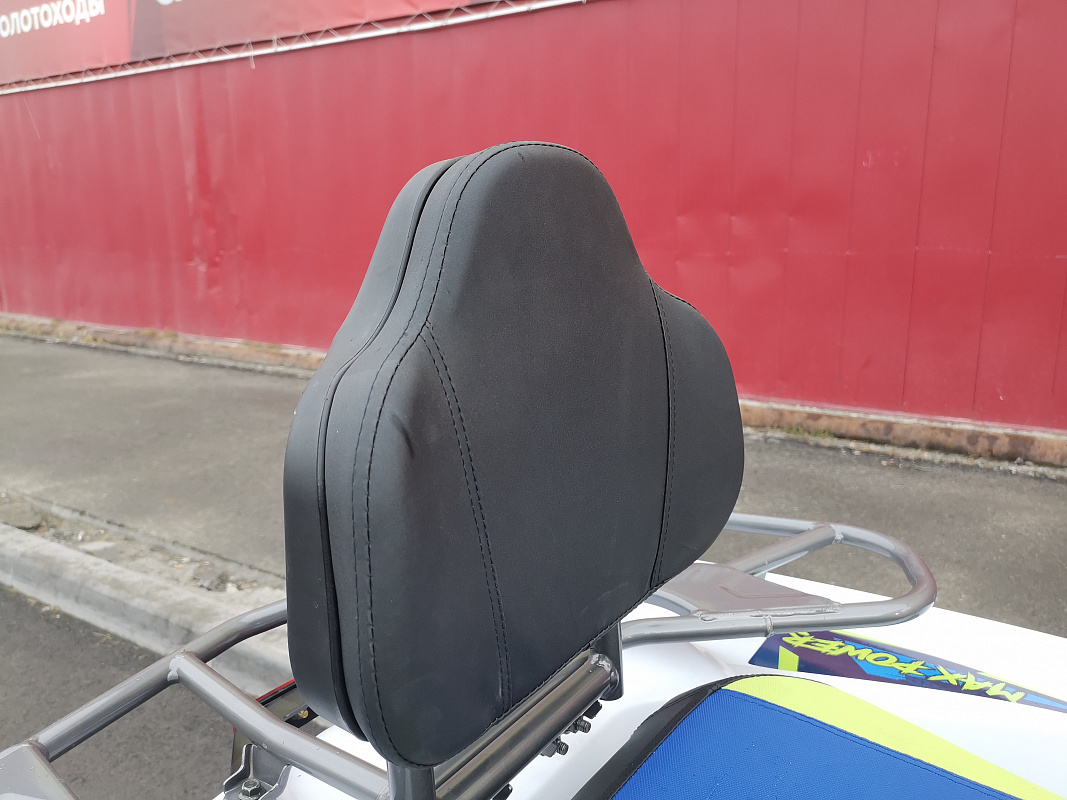 Квадроцикл PROMAX RENEGADE 280 LUX (2025) в Северодвинске