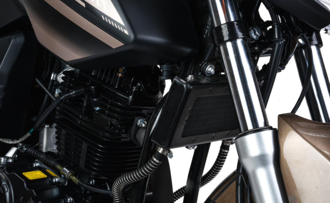 Мотоцикл MOTOLAND (МОТОЛЕНД) 300 BANDIT в Северодвинске