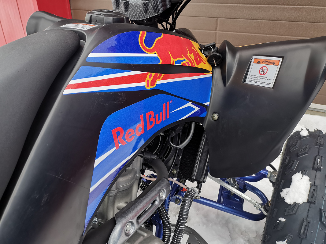 Квадроцикл PROMAX RAPTOR 300 NEW RedBull в Северодвинске