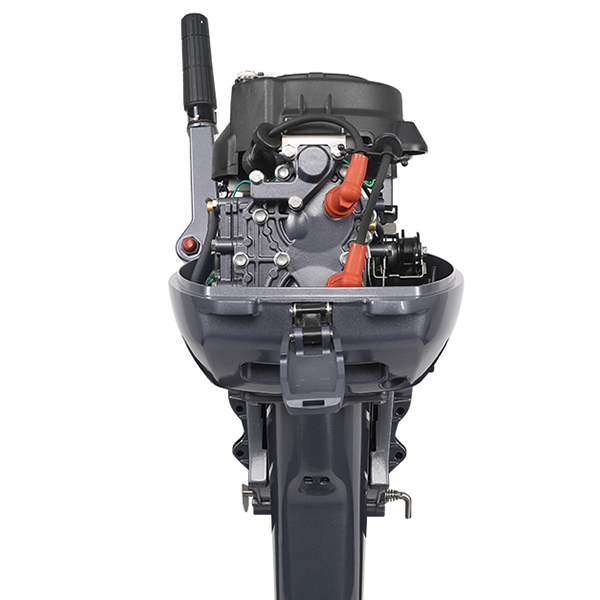 ЛОДОЧНЫЙ МОТОР ALLFA CG Т9,9 Limit в Северодвинске