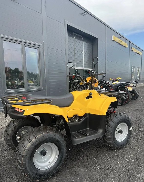 КВАДРОЦИКЛ IRBIS ATV 250  в Северодвинске
