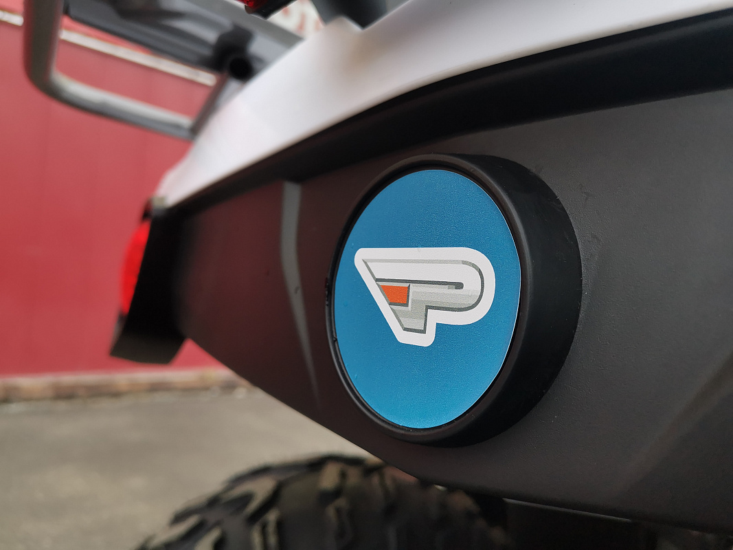 Квадроцикл PROMAX RENEGADE 280 LUX (2025) в Северодвинске