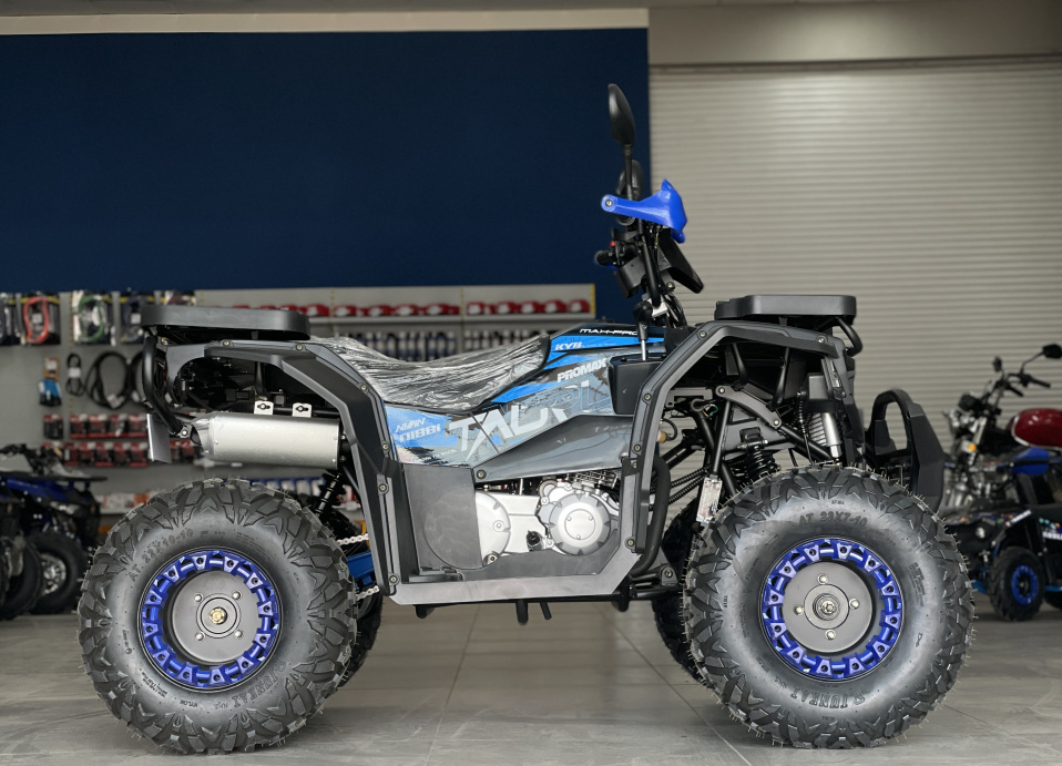 Квадроцикл PROMAX TAURUS 300 в Северодвинске