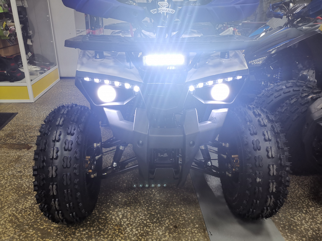 Квадроцикл PROMAX WILD 175 LUX в Северодвинске