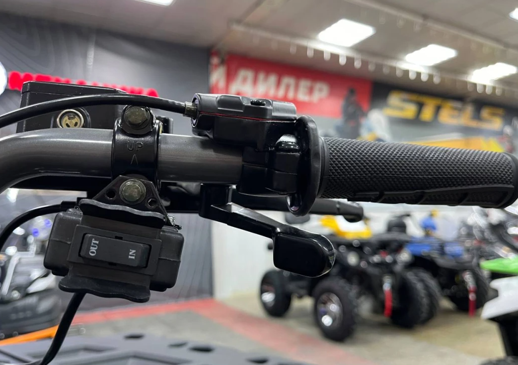 Квадроцикл PROMAX RENEGADE 300 LONG WINCH PRO (2025) в Северодвинске