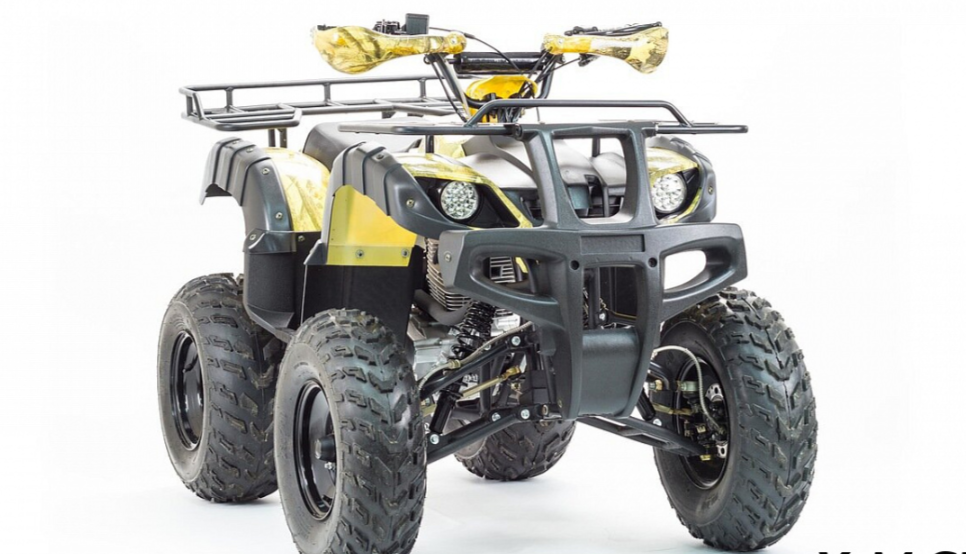 Квадроцикл MOTOLAND (МОТОЛЕНД) 250 ADVENTURE в Северодвинске