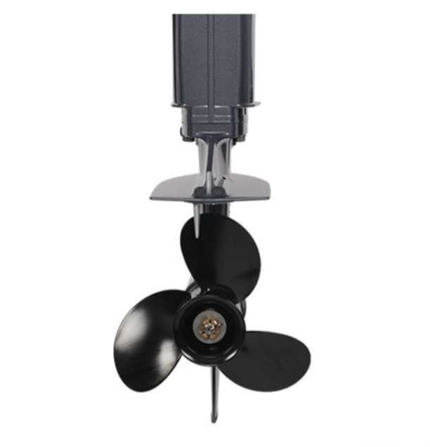 Лодочный мотор ALLFA CG Т40FW S в Северодвинске