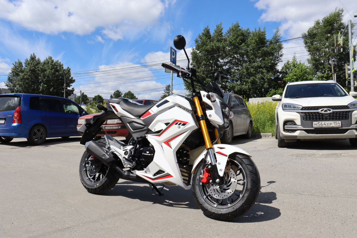 Мотоцикл PROMAX STRYKER 200(49) 2.0 в Северодвинске