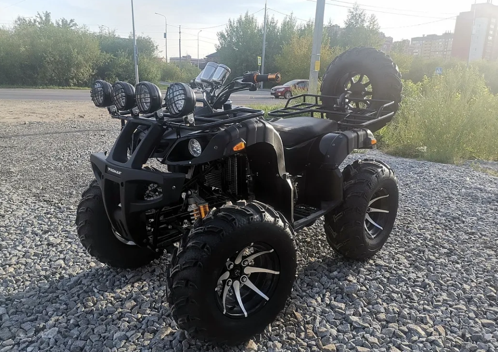 Квадроцикл PROMAX LEO 300 Max (кардан) в Северодвинске