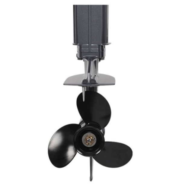 Лодочный мотор ALLFA CG Т40FWT S в Северодвинске