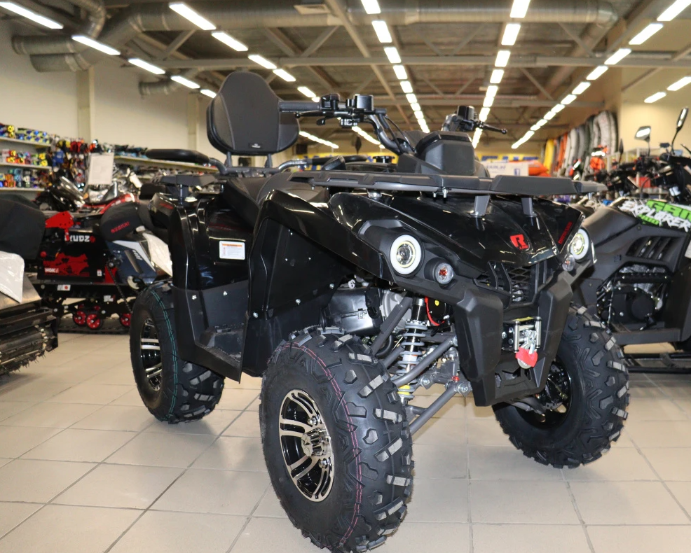 Квадроцикл PROMAX RENEGADE 300 LONG WINCH PRO (2025) в Северодвинске