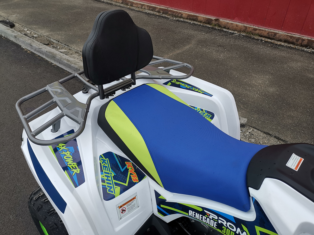 Квадроцикл PROMAX RENEGADE 280 LUX (2025) в Северодвинске
