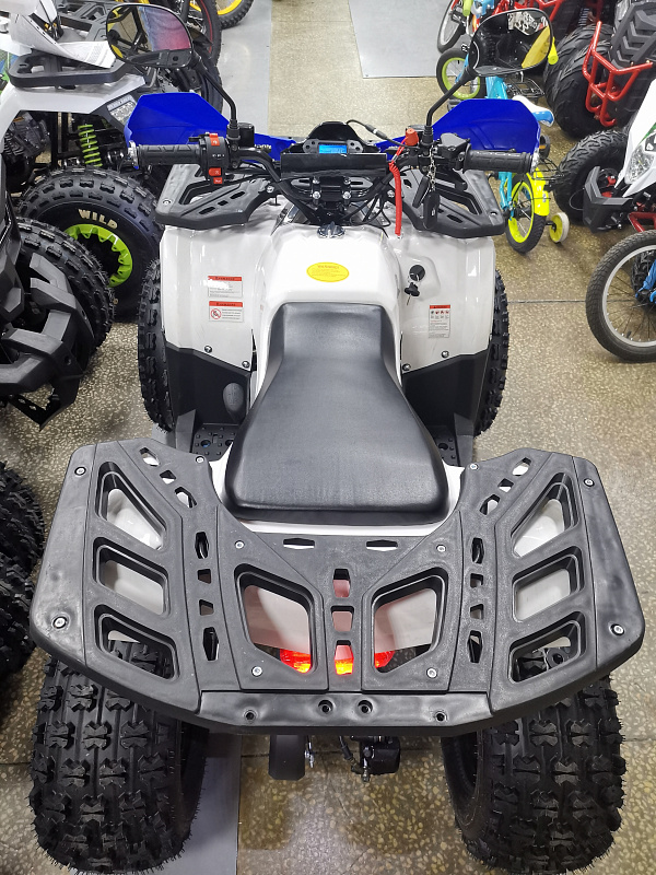 Квадроцикл PROMAX WILD 175 LUX в Северодвинске