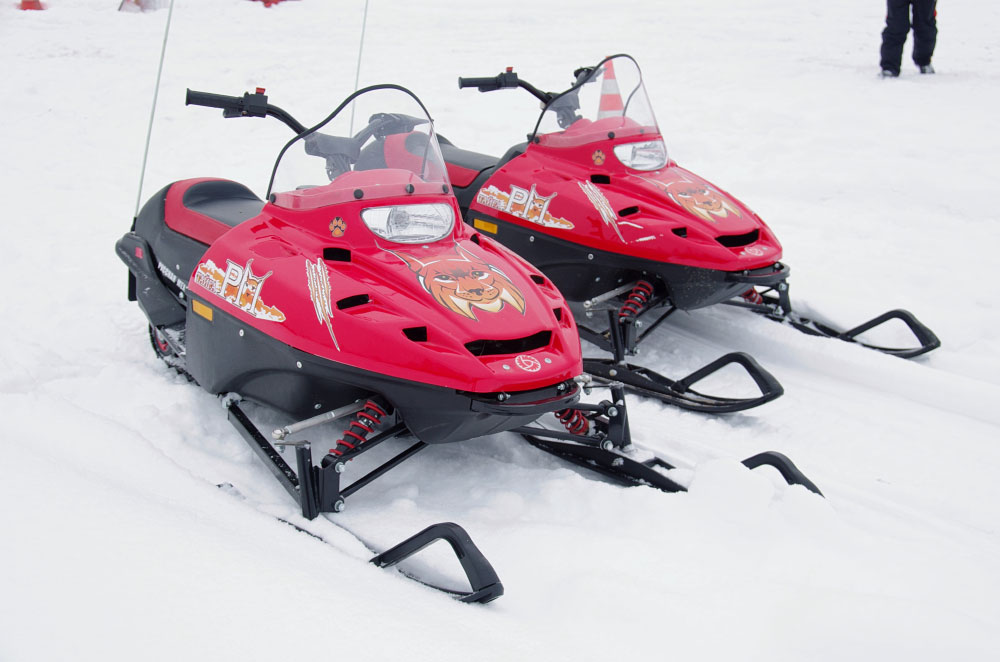 Снегоход РМ ТАЙГА РЫСЬ в Северодвинске