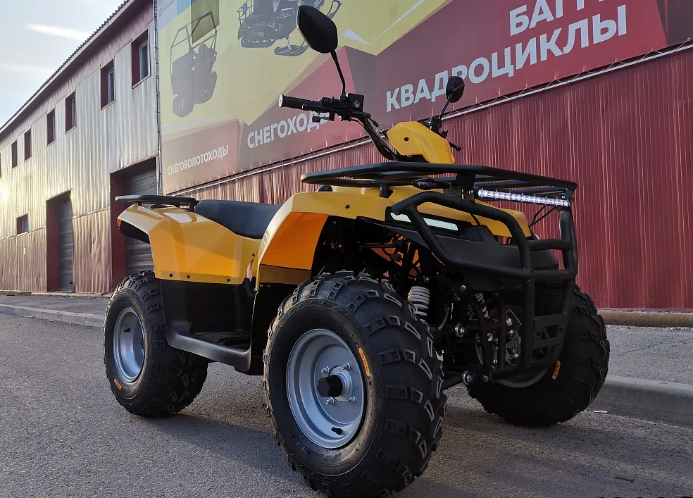 КВАДРОЦИКЛ IRBIS ATV200 в Северодвинске