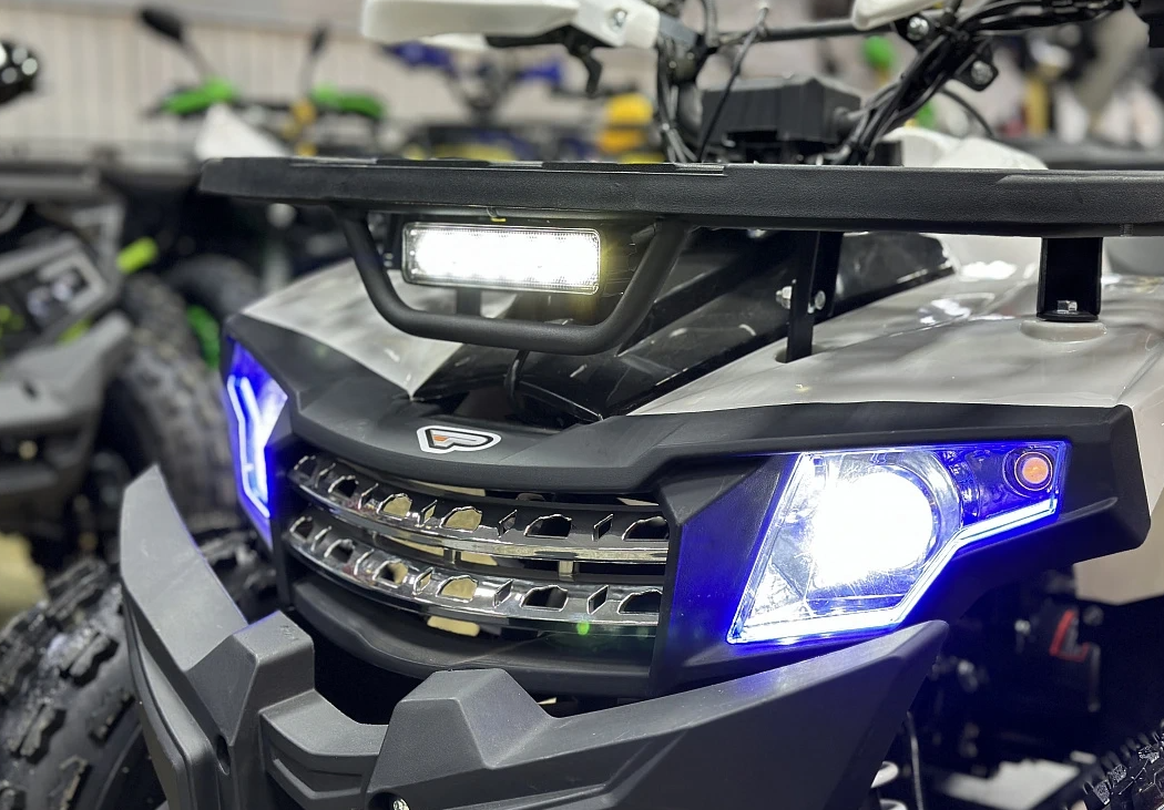 Квадроцикл PROMAX WILD 2.0 190 в Северодвинске