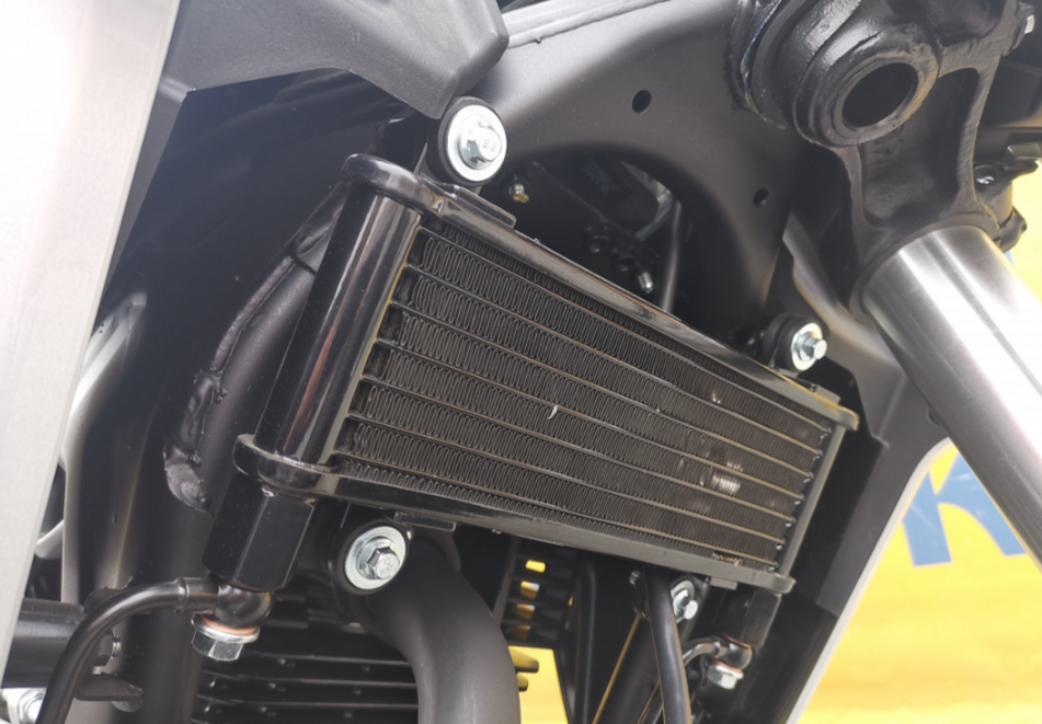 Мотоцикл MOTOLAND (МОТОЛЕНД) 250 CB250 (172FMM-5/PR250) (2022 г.) в Северодвинске