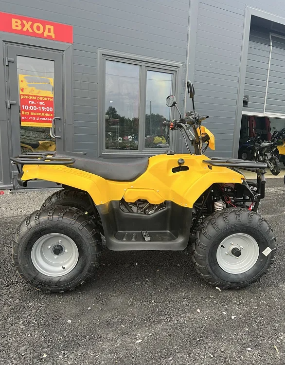 КВАДРОЦИКЛ IRBIS ATV 250  в Северодвинске