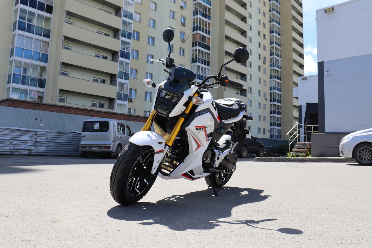 Мотоцикл PROMAX STRYKER 200(49) 2.0 в Северодвинске