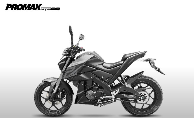 Мотоцикл PROMAX MT300 в Северодвинске