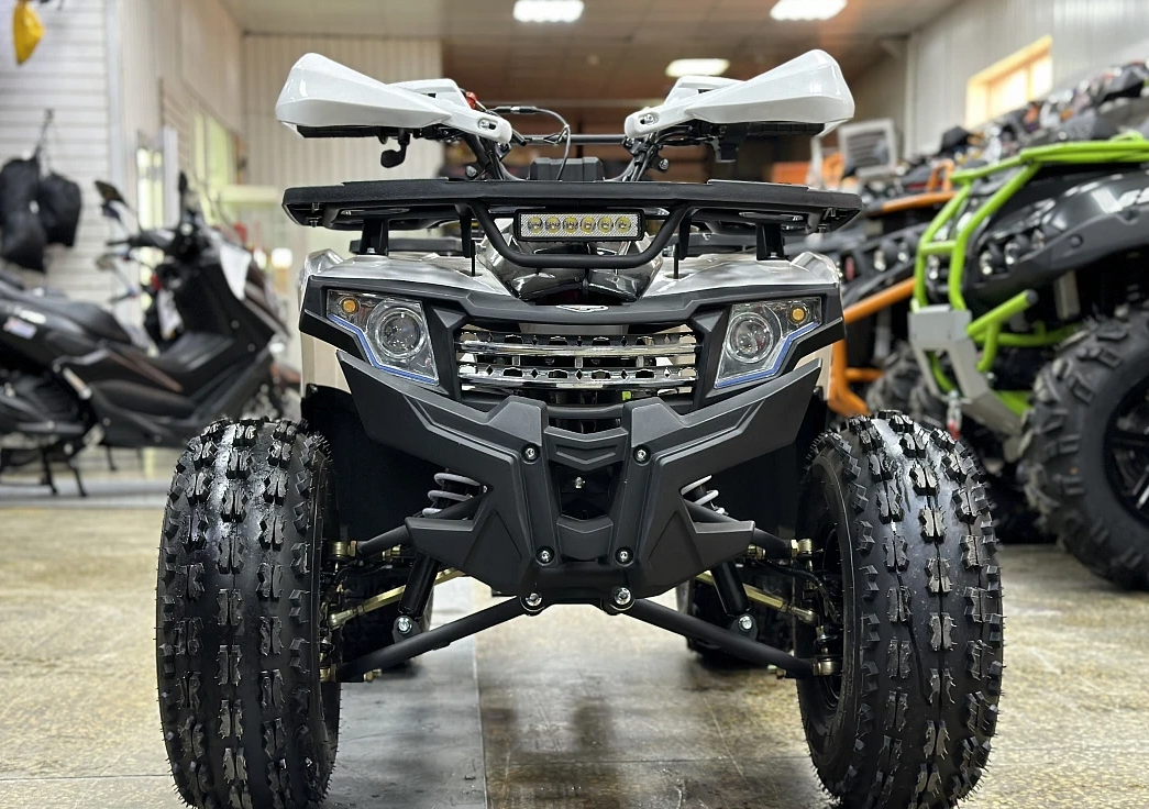 Квадроцикл PROMAX WILD 2.0 190 в Северодвинске