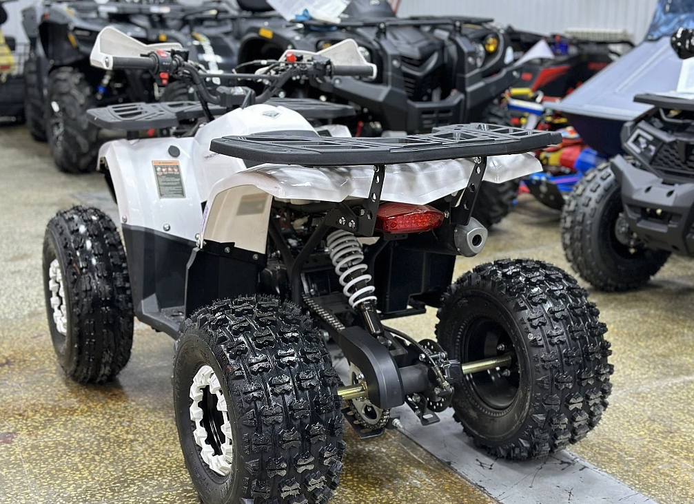 Квадроцикл PROMAX WILD 2.0 190 в Северодвинске