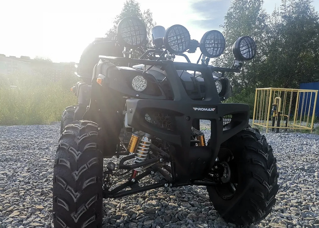 Квадроцикл PROMAX LEO 300 Max (кардан) в Северодвинске