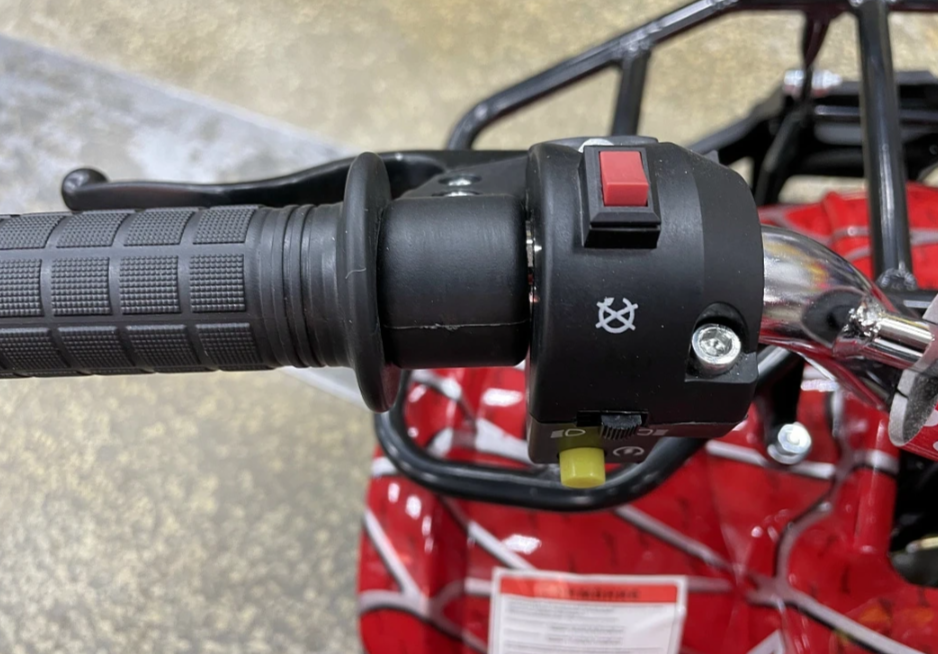 Квадроцикл PROMAX ATV MINI 2T 70CC р/с в Северодвинске