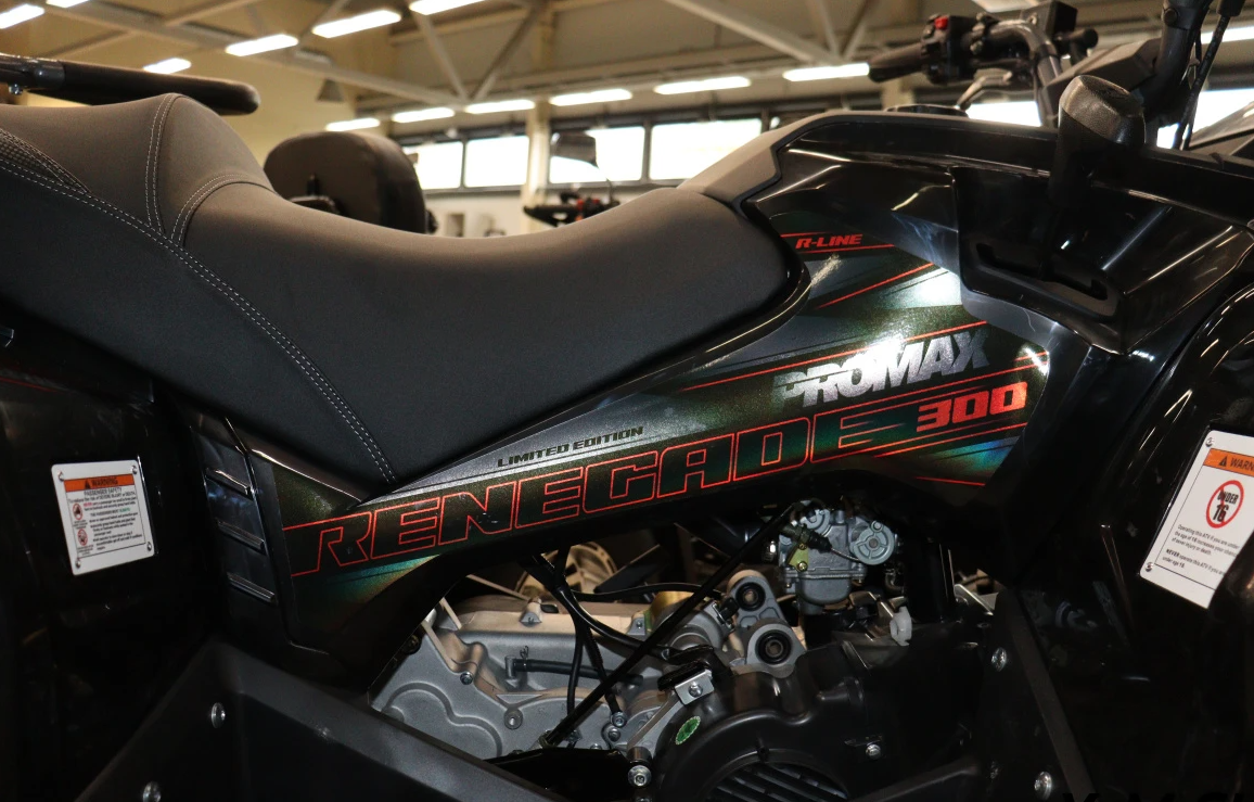Квадроцикл PROMAX RENEGADE 300 LONG WINCH PRO (2025) в Северодвинске