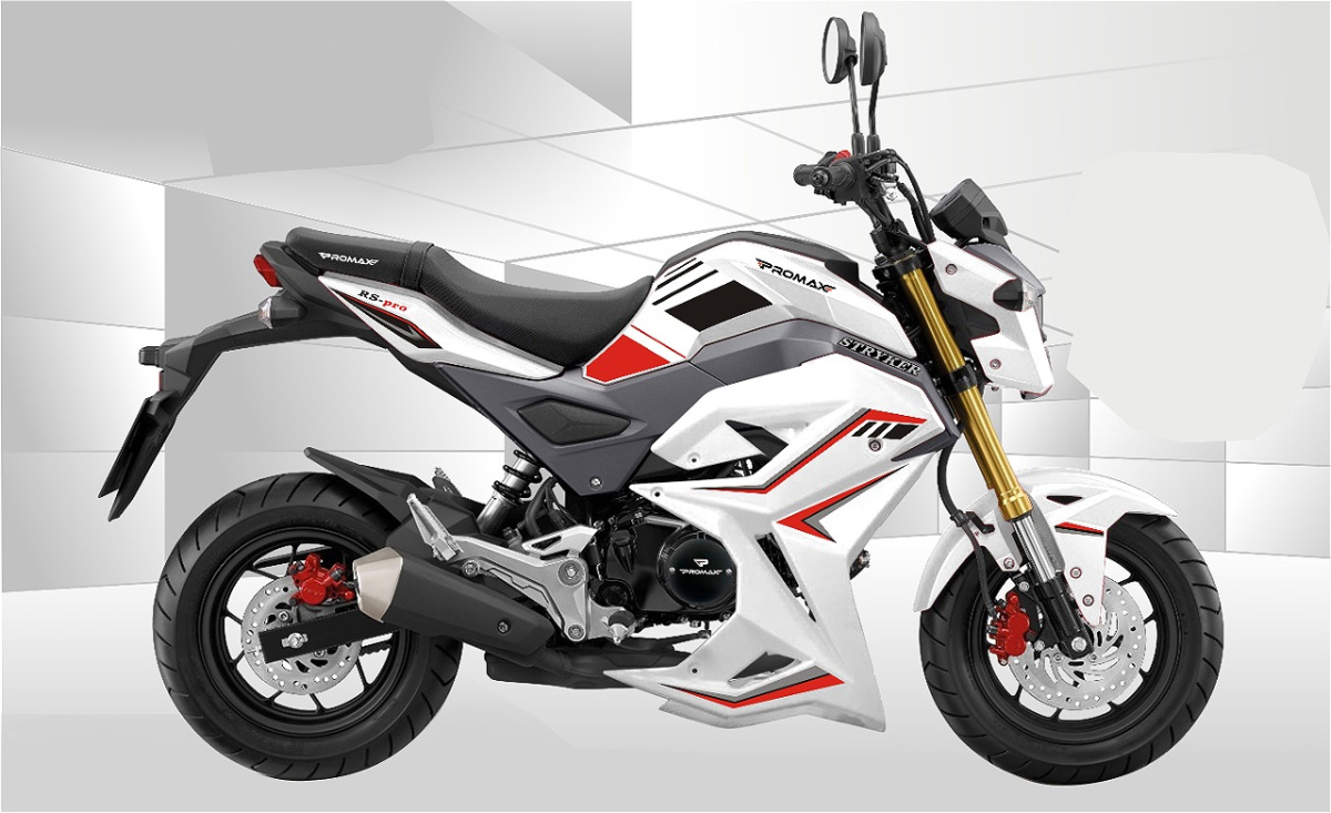 Мотоцикл PROMAX STRYKER 200(49) 2.0 в Северодвинске