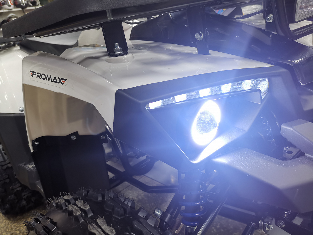 Квадроцикл PROMAX WILD 175 LUX в Северодвинске