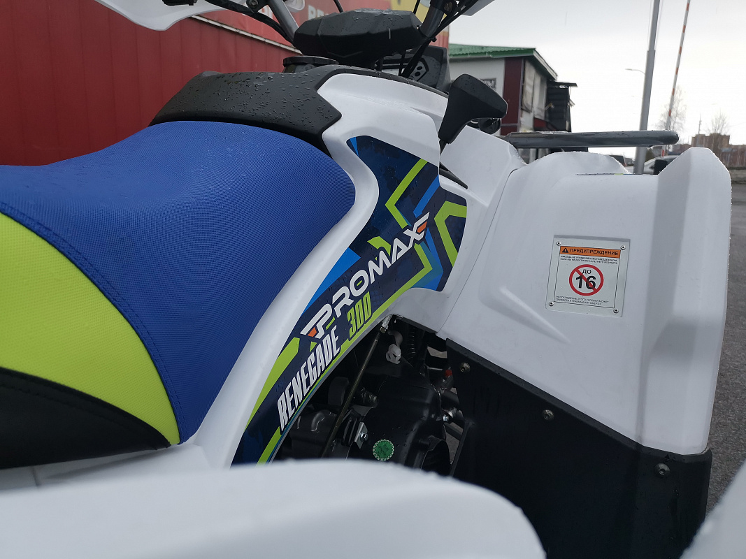 Квадроцикл PROMAX RENEGADE 280 LUX (2025) в Северодвинске