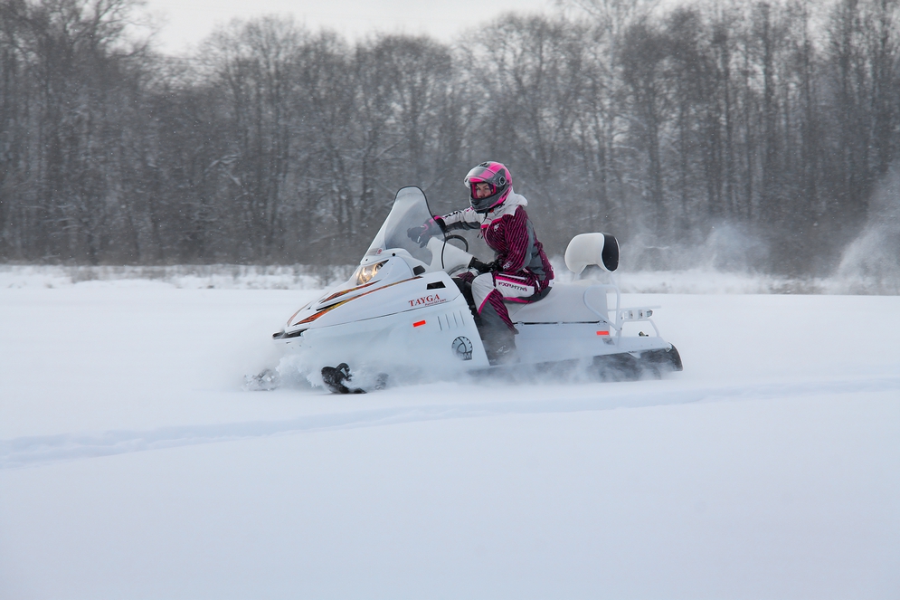 СНЕГОХОД РМ ТАЙГА ПАТРУЛЬ 551 SWT в Северодвинске