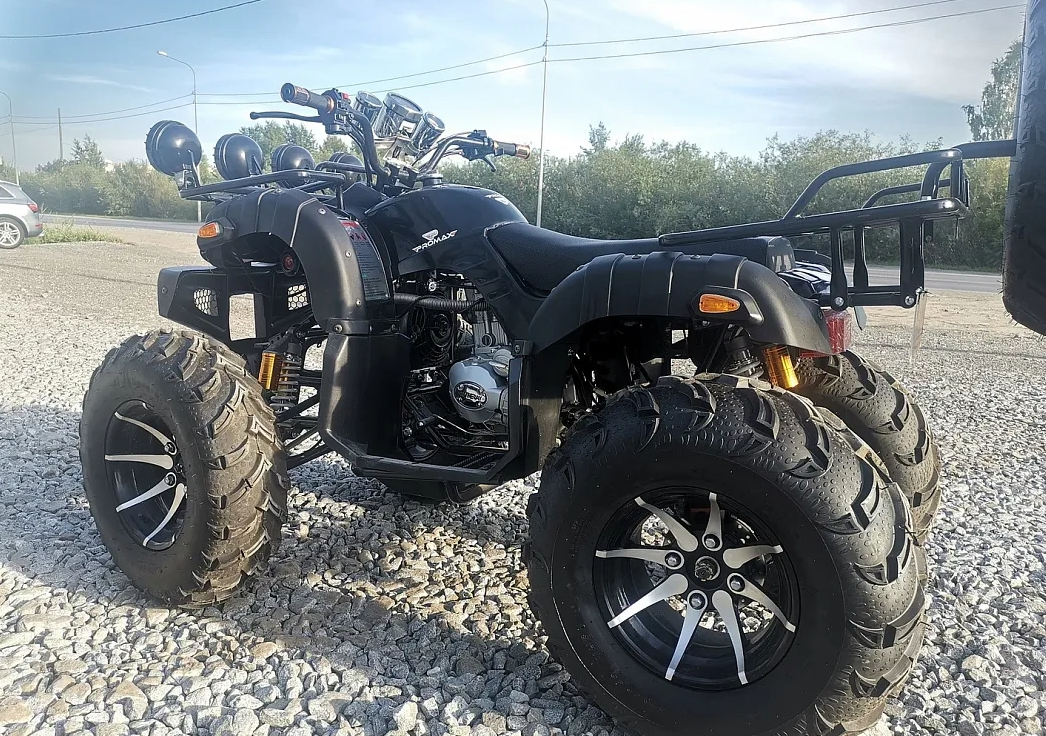 Квадроцикл PROMAX LEO 300 Max (кардан) в Северодвинске