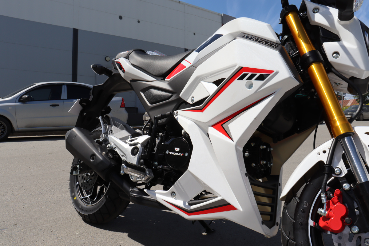 Мотоцикл PROMAX STRYKER 200(49) 2.0 в Северодвинске