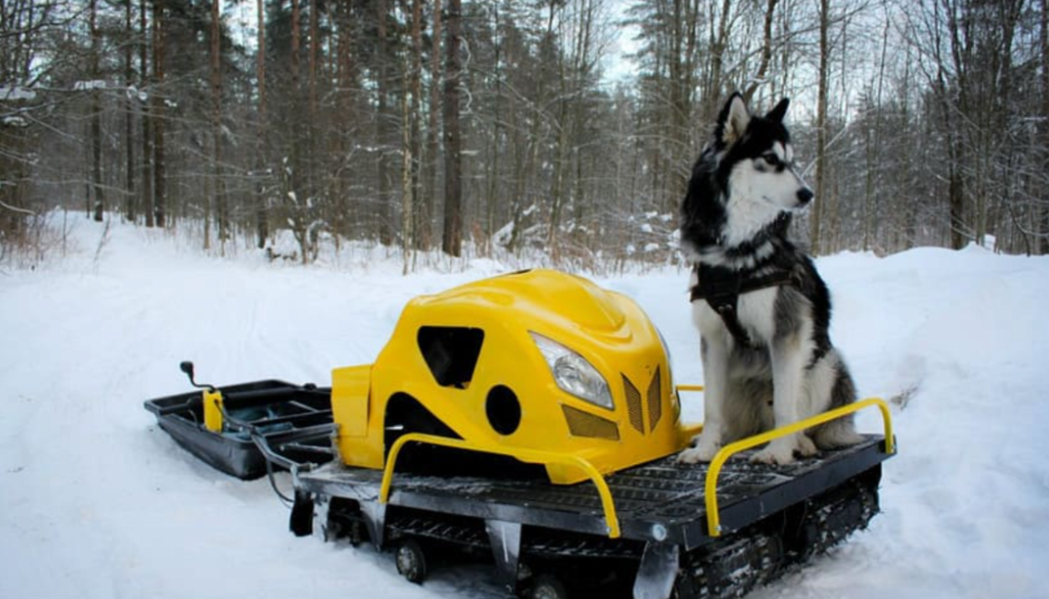 Мотобуксировщик LEBEDEV MOTORS ВОЛКОДАВ POWER V13 в Северодвинске