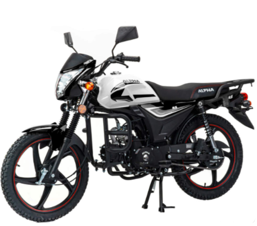 Мопед MOTOLAND (МОТОЛЕНД) Альфа RS 11 (LM48-B) в Северодвинске