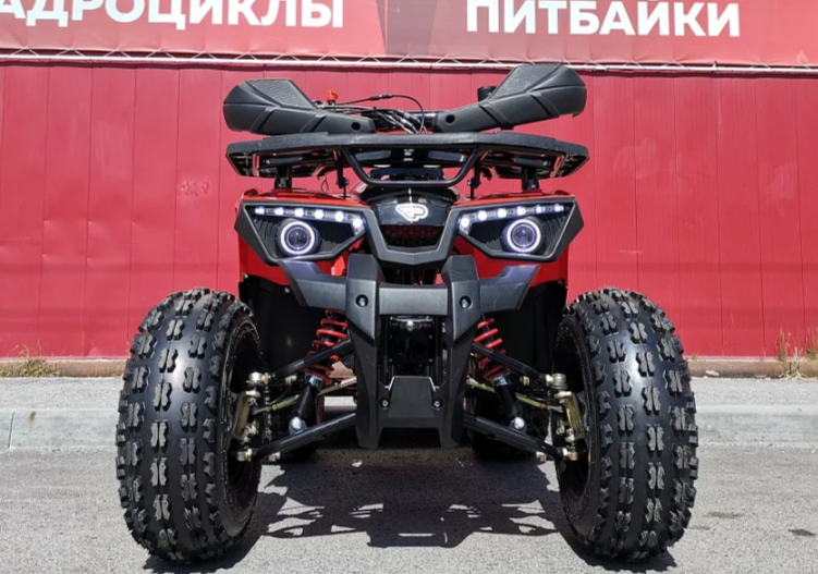 Квадроцикл PROMAX WILD 175 BASIC в Северодвинске