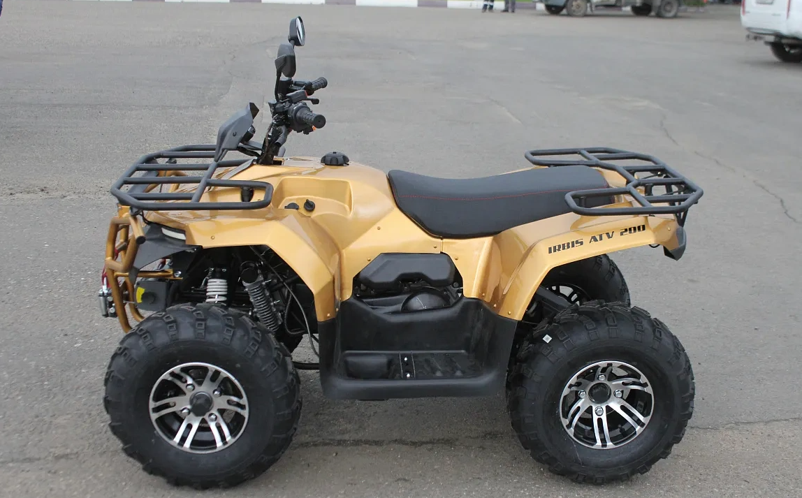 КВАДРОЦИКЛ IRBIS ATV200 PREMIUM в Северодвинске